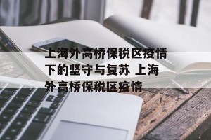 上海外高桥保税区疫情下的坚守与复苏 上海外高桥保税区疫情