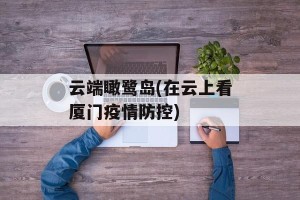 云端瞰鹭岛(在云上看厦门疫情防控)