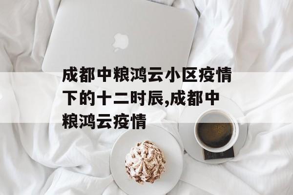 成都中粮鸿云小区疫情下的十二时辰,成都中粮鸿云疫情