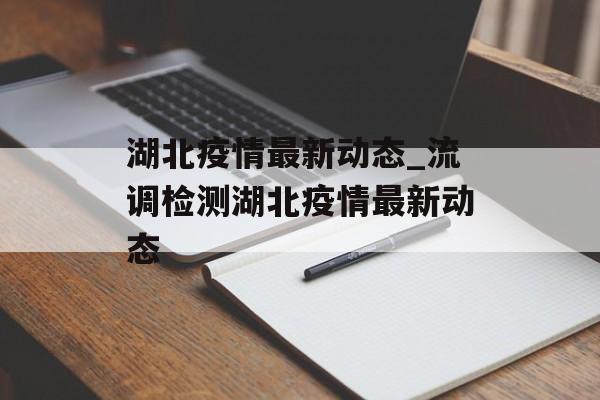 湖北疫情最新动态_流调检测湖北疫情最新动态